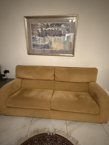 Ligne roset sofa - roset, vintage