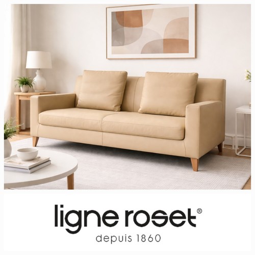 Immaculate ligne roset - ligne,